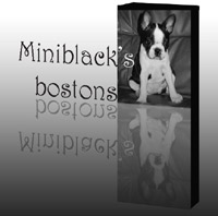Miniblack's