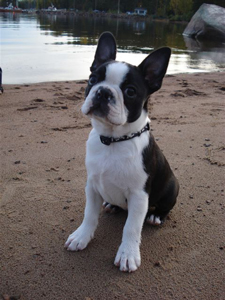 Justus - Miniblack's Final Countdown