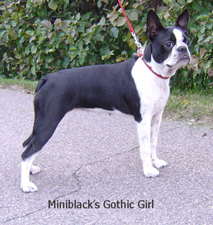 Miniblack's Gothic Girl