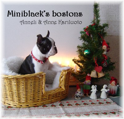  Miniblack's 